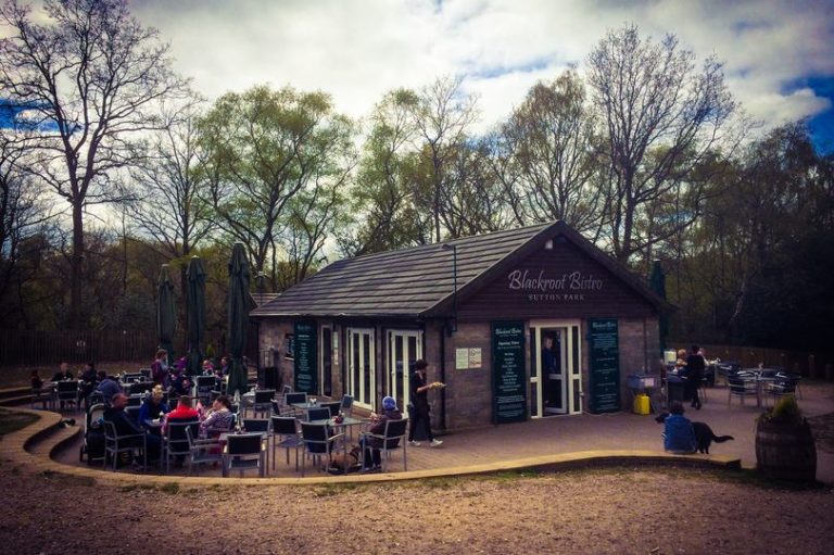 Dog Friendly Pubs, Cafe's & Restaurants in Sutton Coldfield - Dogs