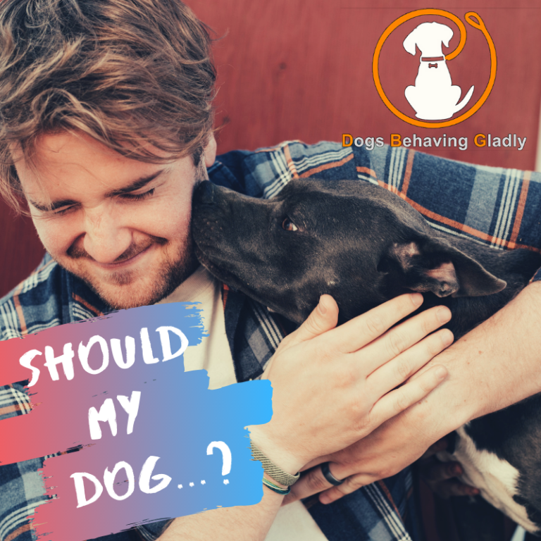 Should I Let My Dog... Dogs Behaving Gladly